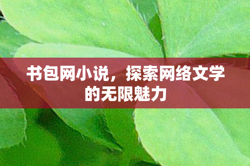 书包网小说,探索网络文学的无限魅力 书包网小说,探索网络文学的无限魅力
