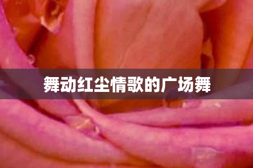 舞动红尘情歌的广场舞 舞动红尘情歌的广场舞