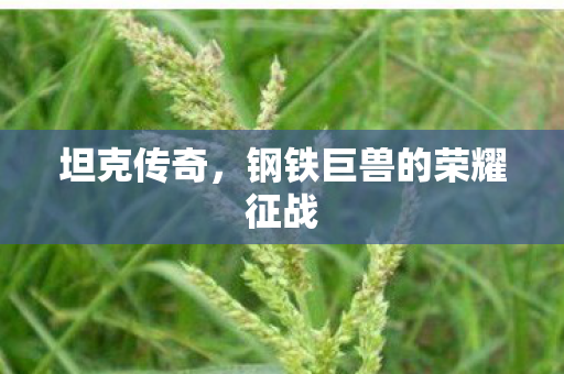 坦克传奇,钢铁巨兽的荣耀征战 坦克传奇,钢铁巨兽的荣耀征战