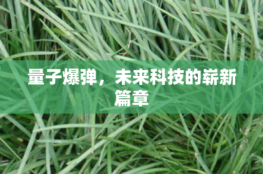 量子爆弹,未来科技的崭新篇章 量子爆弹,未来科技的崭新篇章