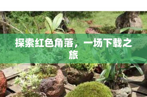 探索红色角落，一场下载之旅