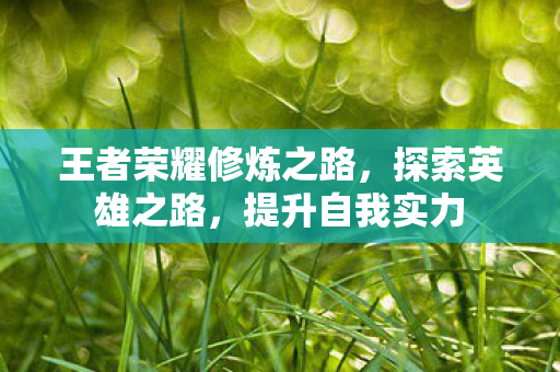 王者荣耀修炼之路,探索英雄之路,提升自我实力 王者荣耀修炼之路,探索英雄之路,提升自我实力