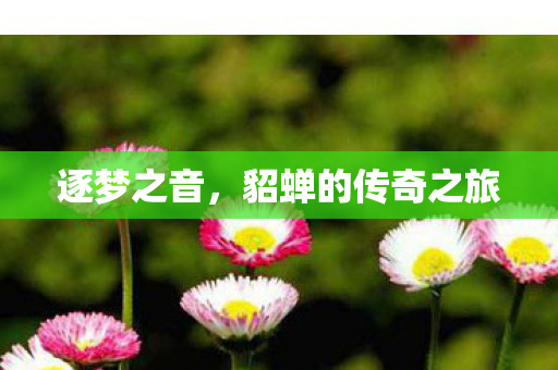 逐梦之音，貂蝉的传奇之旅