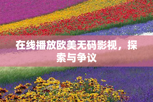 在线播放欧美无码影视，探索与争议
