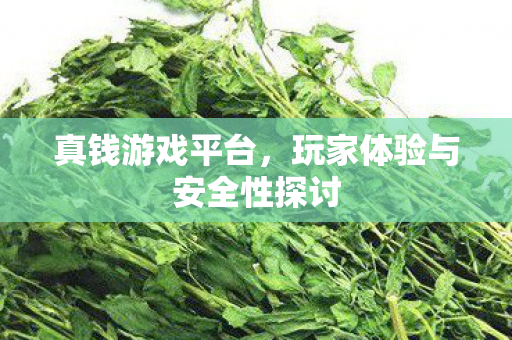 真钱游戏平台,玩家体验与安全性探讨 真钱游戏平台,玩家体验与安全性探讨