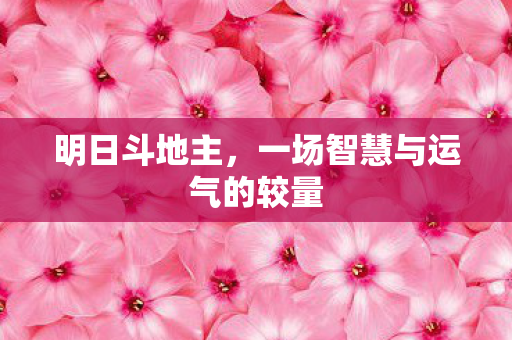 明日斗地主,一场智慧与运气的较量 明日斗地主,一场智慧与运气的较量