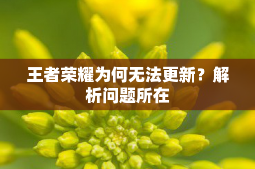 王者荣耀为何无法更新？解析问题所在