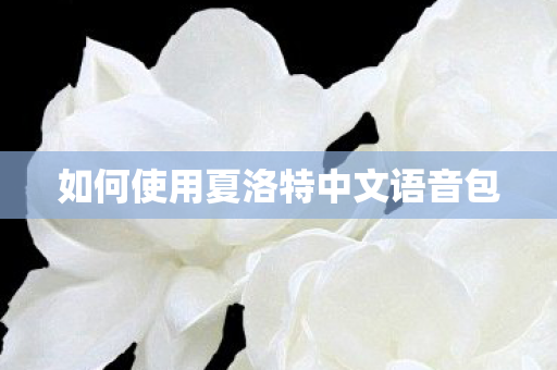 如何使用夏洛特中文语音包 如何使用夏洛特中文语音包