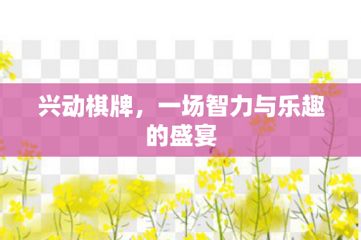 兴动棋牌，一场智力与乐趣的盛宴