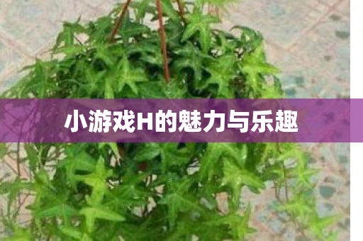 小游戏H的魅力与乐趣