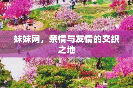 妹妹网,亲情与友情的交织之地 妹妹网,亲情与友情的交织之地