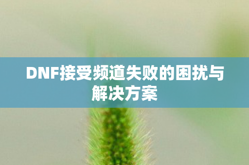 DNF接受频道失败的困扰与解决方案 DNF接受频道失败的困扰与解决方案