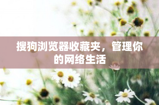 搜狗浏览器收藏夹,管理你的网络生活 搜狗浏览器收藏夹,管理你的网络生活