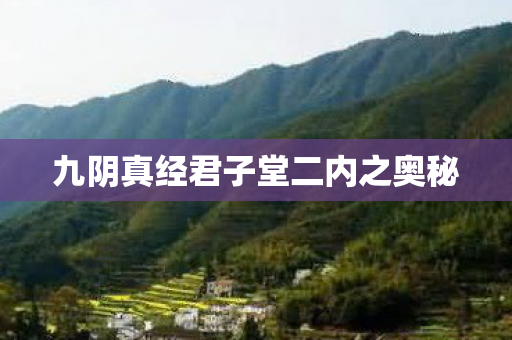 九阴真经君子堂二内之奥秘