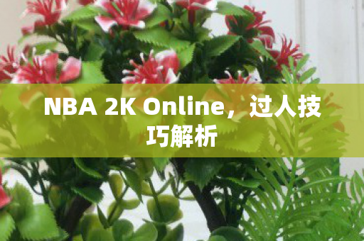 NBA 2K Online,过人技巧解析 NBA 2K Online,过人技巧解析