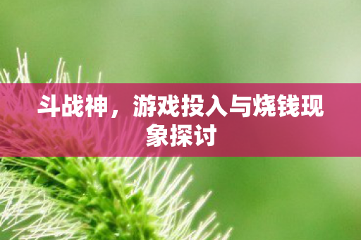 斗战神,游戏投入与烧钱现象探讨 斗战神,游戏投入与烧钱现象探讨
