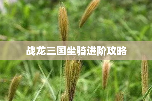 战龙三国坐骑进阶攻略 战龙三国坐骑进阶攻略