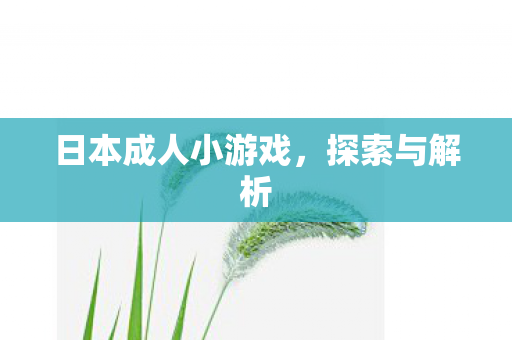 日本成人小游戏,探索与解析 日本成人小游戏,探索与解析