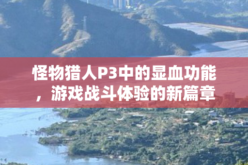 怪物猎人P3中的显血功能,游戏战斗体验的新篇章 怪物猎人P3中的显血功能,游戏战斗体验的新篇章