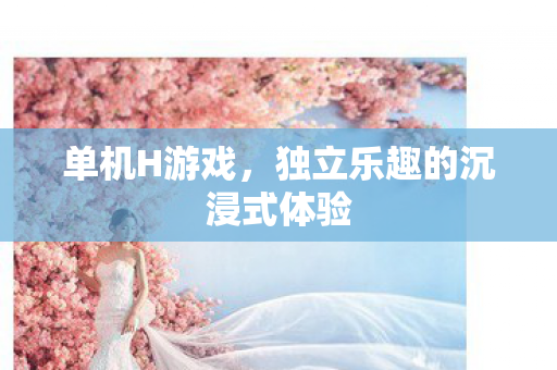 单机H游戏,独立乐趣的沉浸式体验 单机H游戏,独立乐趣的沉浸式体验
