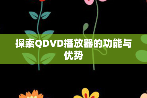 探索QDVD播放器的功能与优势 探索QDVD播放器的功能与优势