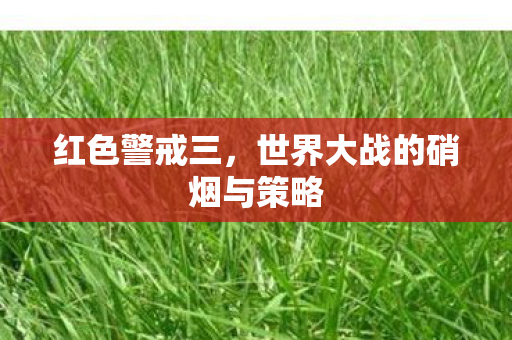 红色警戒三,世界大战的硝烟与策略 红色警戒三,世界大战的硝烟与策略