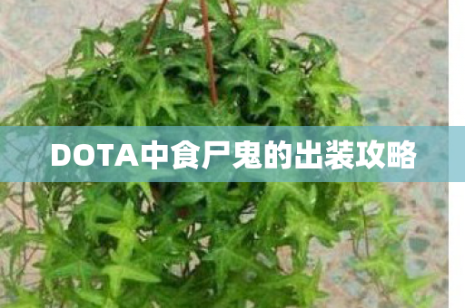 DOTA中食尸鬼的出装攻略 DOTA中食尸鬼的出装攻略