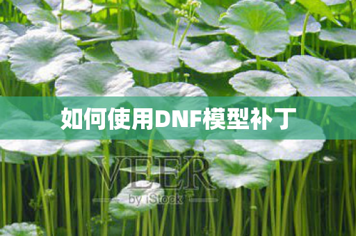 如何使用DNF模型补丁 如何使用DNF模型补丁