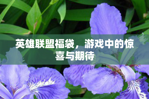 英雄联盟福袋,游戏中的惊喜与期待 英雄联盟福袋,游戏中的惊喜与期待