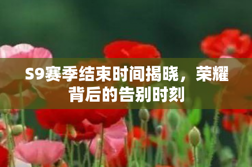 S9赛季结束时间揭晓，荣耀背后的告别时刻
