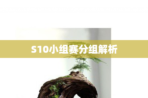 S10小组赛分组解析