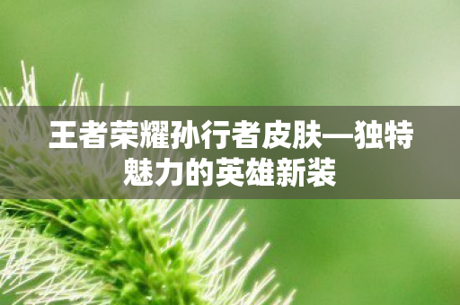 王者荣耀孙行者皮肤—独特魅力的英雄新装 王者荣耀孙行者皮肤—独特魅力的英雄新装