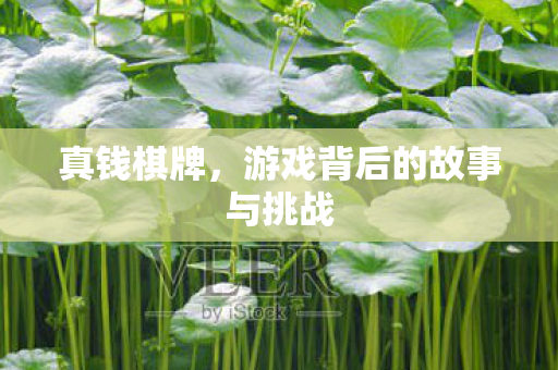 真钱棋牌,游戏背后的故事与挑战 真钱棋牌,游戏背后的故事与挑战