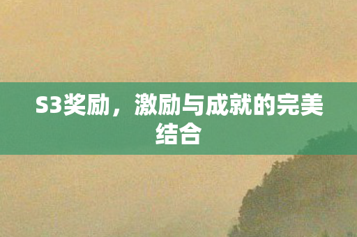 S3奖励，激励与成就的完美结合