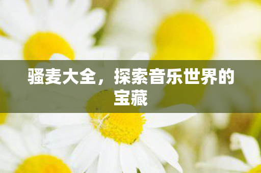 骚麦大全，探索音乐世界的宝藏