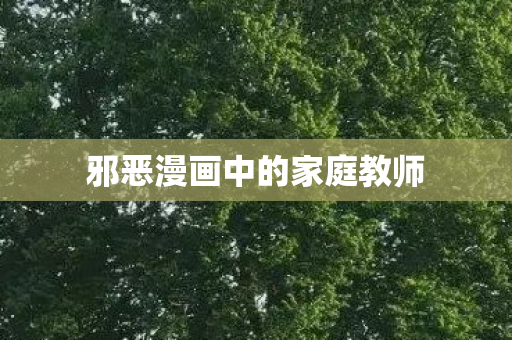 邪恶漫画中的家庭教师 邪恶漫画中的家庭教师