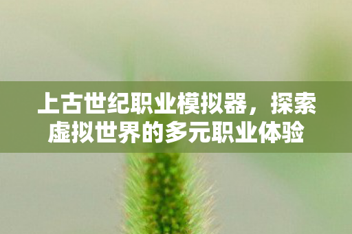 上古世纪职业模拟器,探索虚拟世界的多元职业体验 上古世纪职业模拟器,探索虚拟世界的多元职业体验