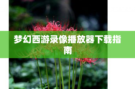 梦幻西游录像播放器下载指南