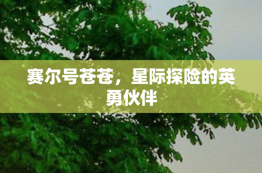 赛尔号苍苍,星际探险的英勇伙伴 赛尔号苍苍,星际探险的英勇伙伴