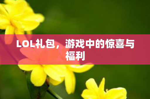 LOL礼包,游戏中的惊喜与福利 LOL礼包,游戏中的惊喜与福利