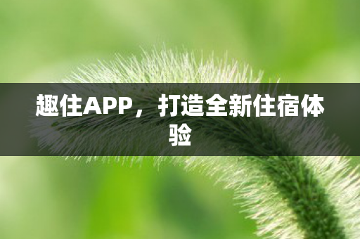 趣住APP,打造全新住宿体验 趣住APP,打造全新住宿体验
