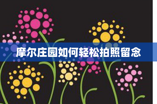 摩尔庄园如何轻松拍照留念 摩尔庄园如何轻松拍照留念