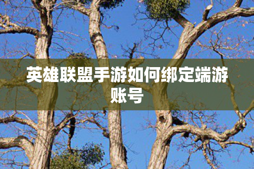 英雄联盟手游如何绑定端游账号 英雄联盟手游如何绑定端游账号