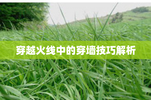 穿越火线中的穿墙技巧解析