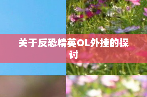 关于反恐精英OL外挂的探讨 关于反恐精英OL外挂的探讨