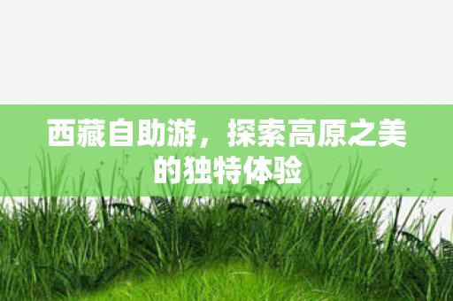 西藏自助游,探索高原之美的独特体验 西藏自助游,探索高原之美的独特体验