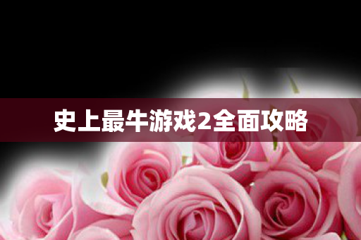 史上最牛游戏2全面攻略 史上最牛游戏2全面攻略