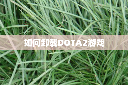 如何卸载DOTA2游戏 如何卸载DOTA2游戏