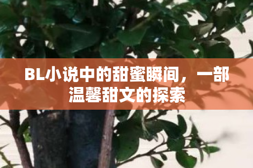 BL小说中的甜蜜瞬间,一部温馨甜文的探索 BL小说中的甜蜜瞬间,一部温馨甜文的探索