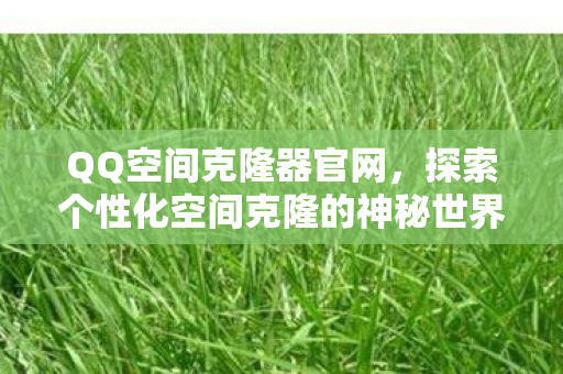 QQ空间克隆器官网,探索个性化空间克隆的神秘世界 QQ空间克隆器官网,探索个性化空间克隆的神秘世界